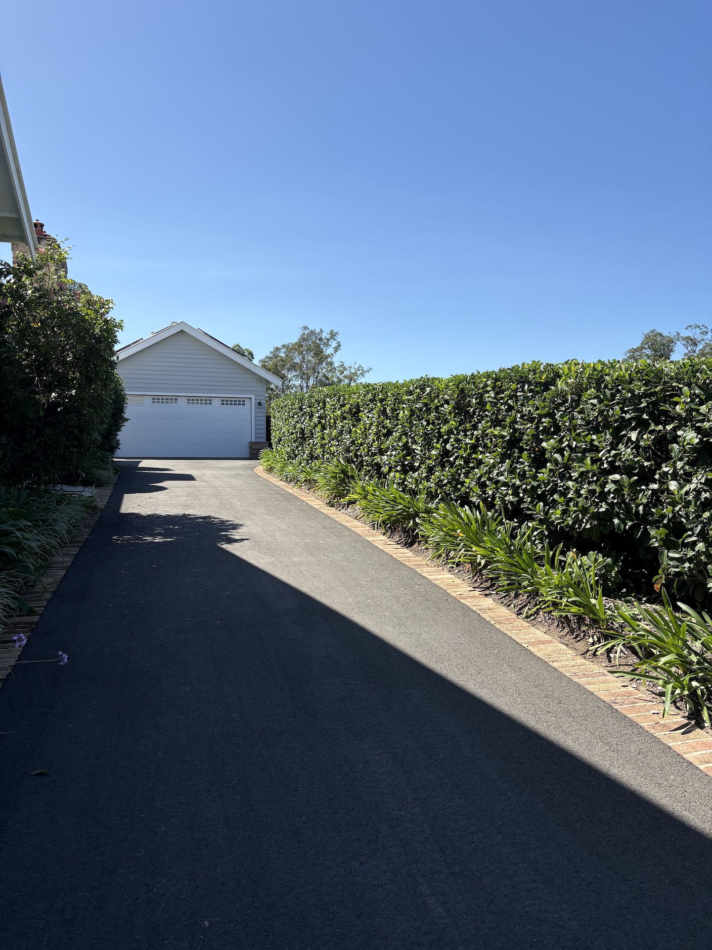 tidy hedge along driveway
