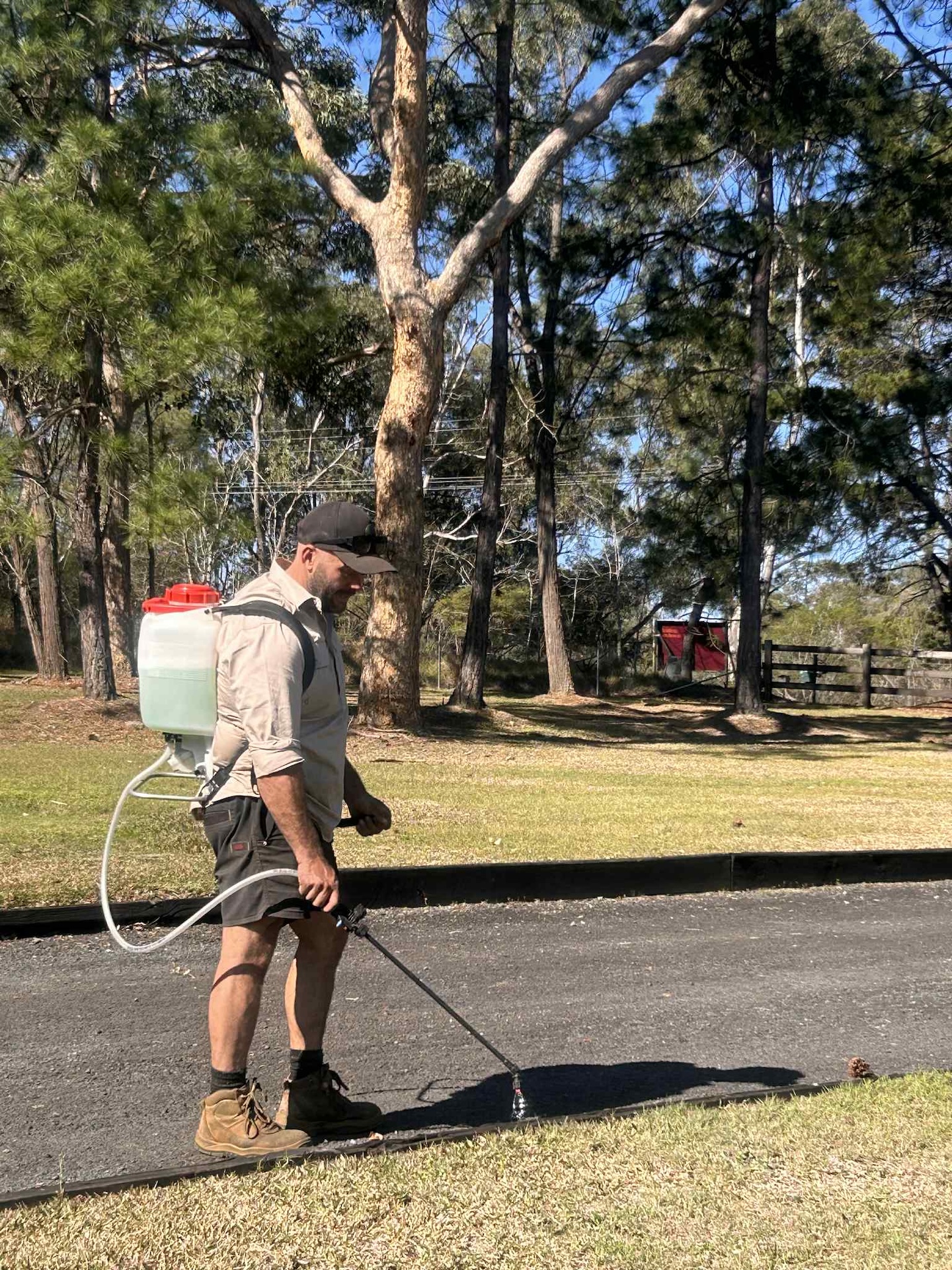 man spraying for weeds along driveway